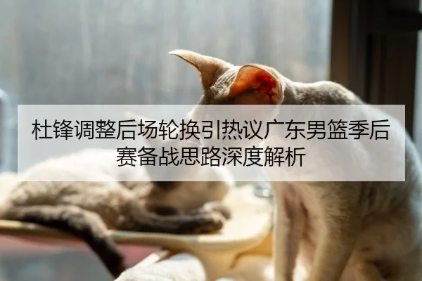 杜锋调整后场轮换引热议广东男篮季后赛备战思路深度解析